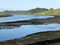 Berwick: River Tweed